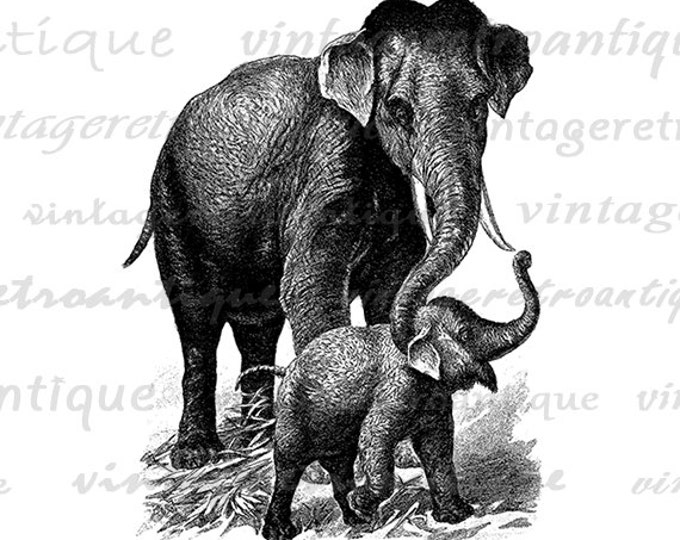 Printable Graphic Elephant and Baby Elephant Download Digital Image Antique Clip Art Jpg Png Eps HQ 300dpi No.3867