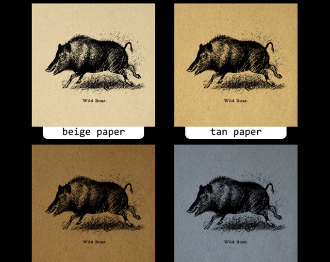 Printable Graphic Wild Boar Download Digital Pig Image Vintage Clip Art Jpg Png Eps HQ 300dpi No.698