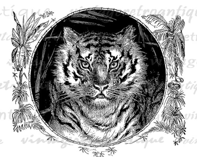 Tiger Graphic Image Printable Illustration Download Digital Antique Clip Art Jpg Png Eps HQ 300dpi No.3303