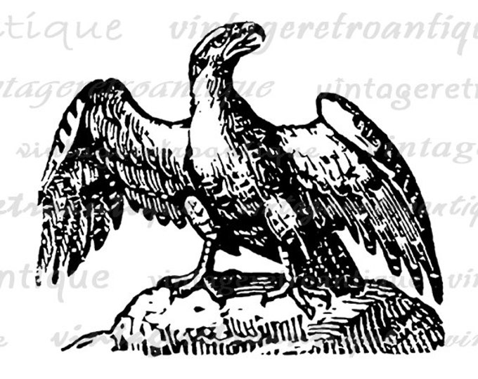 Eagle Printable Image Digital Antique Eagle Illustration Graphic Download Vintage Clip Art Jpg Png Eps HQ 300dpi No.3907