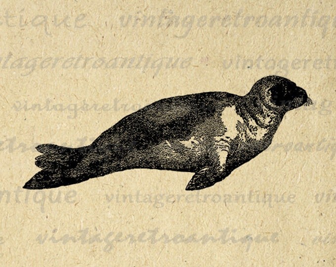 Printable Seal Image Download Digital Graphic Artwork Antique Clip Art Jpg Png Eps HQ 300dpi No.2618