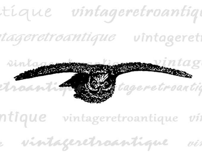 Digital Flying Owl Printable Download Bird Illustration Image Graphic Vintage Clip Art Jpg Png Eps HQ 300dpi No.3417