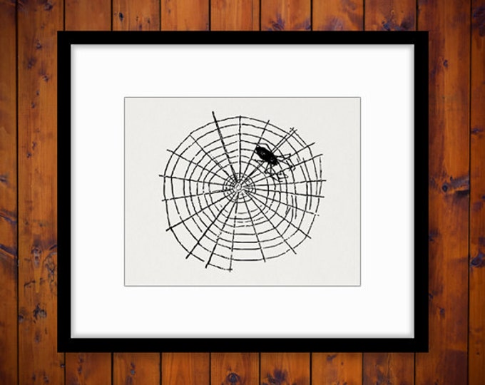 Printable Graphic Spider Download Spider with Web Artwork Digital Spiderweb Image for Transfers Pillows Tea Towels etc HQ 300dpi No.4617