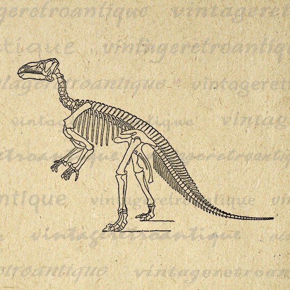 Printable Graphic Dinosaur Skeleton by VintageRetroAntique on Etsy