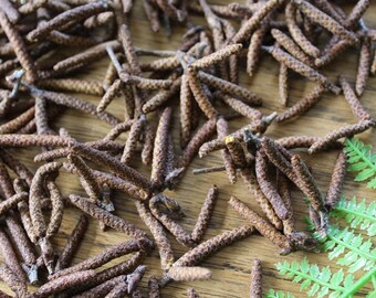 Birch Tree Seed Pods 4oz/ Natural Seed Pods/ Natural Potpourri / Seed Pods/ Soap Making