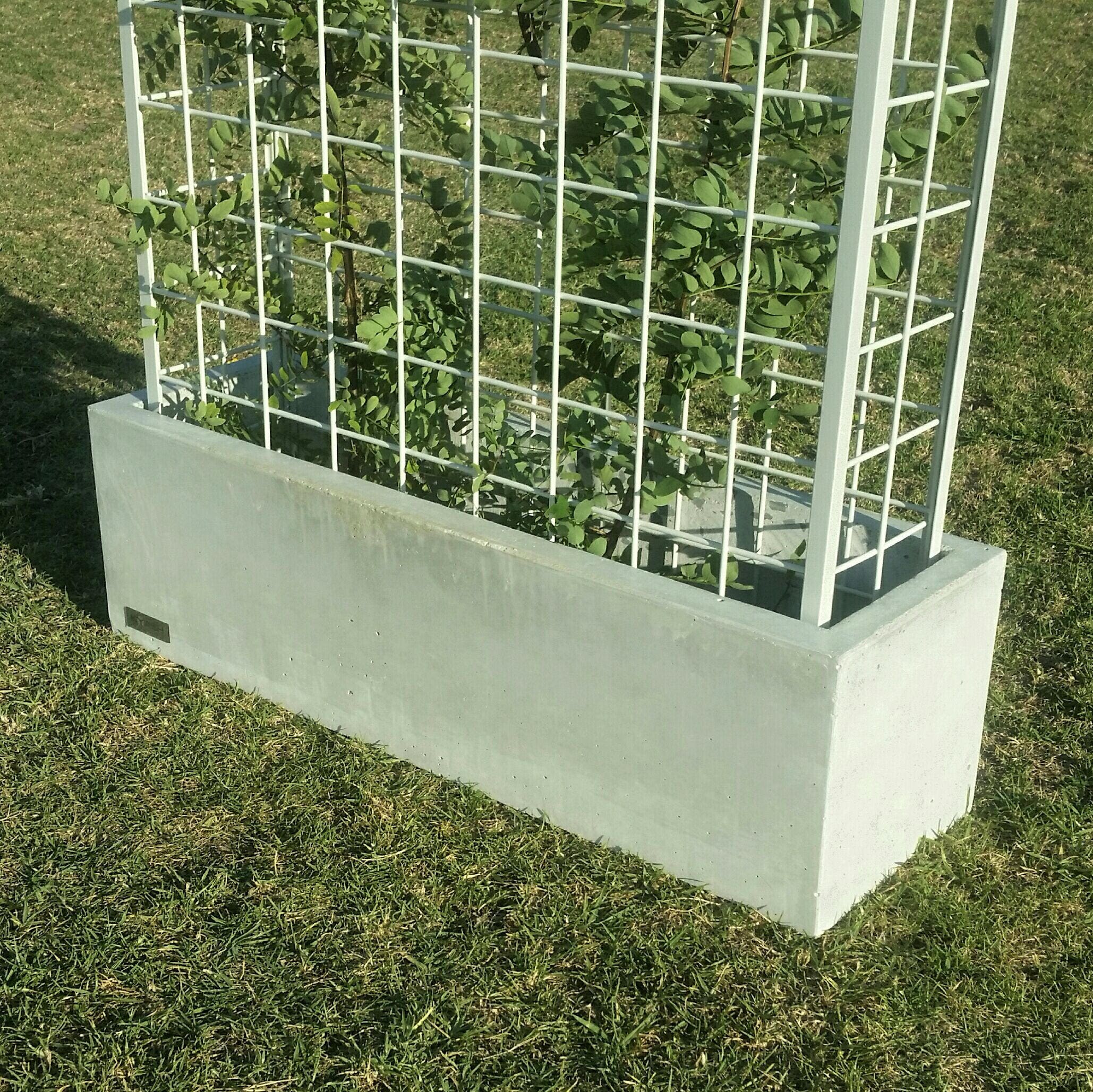 Vertical garden polished concrete planter large rectangular