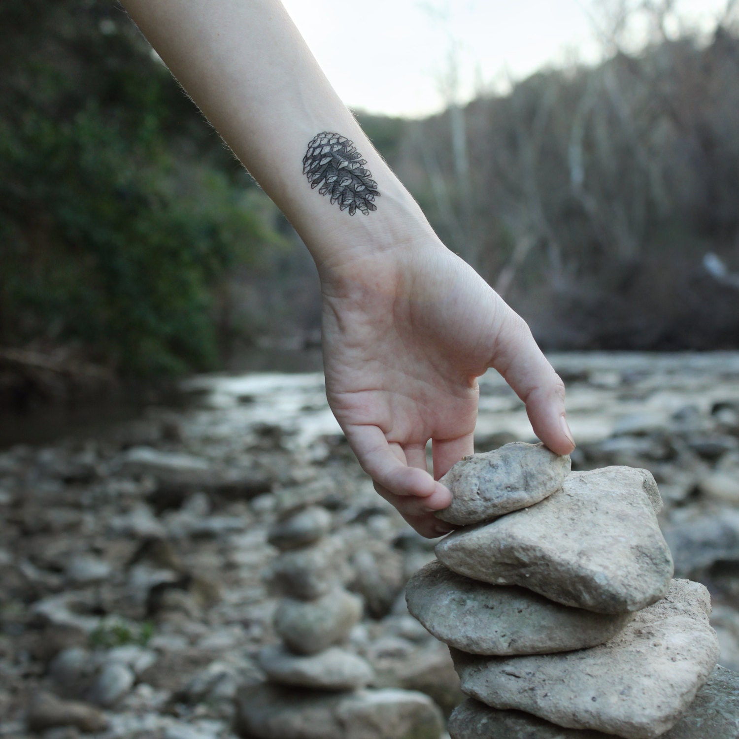 pinecone temporary tattoo forest findings pine tree seed pod pinecone temporary tattoo forest findings pine tree seed pod