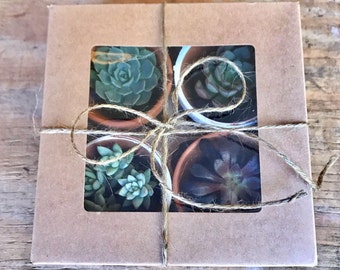 Succulent gift box- perfect for birthdays father's day ect.