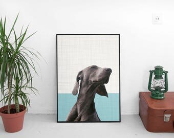 Weimaraner Dog, Animal Print, Pet Portrait, Photography Prints, Dog Print, Dog Portrait, Animal Lover Gift, Poster 50x70, Art Prints