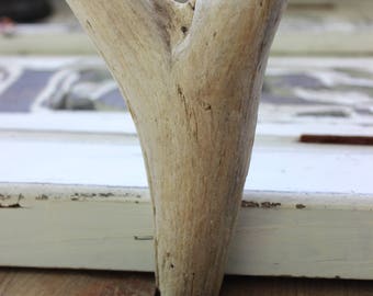One of a Kind 6" Driftwood Heart - Surf Tumbled Romantic Beach Decoration , Sculpture