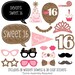 Sweet 16 Birthday Party Photo Booth Props Photobooth Kit