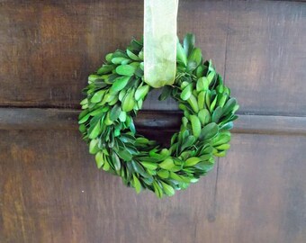 5" Boxwood Wreath-Mini Wreath-Small Wreath-Mini Boxwood Wreath-Preserved Boxwood-Wedding Decoration-Door Hanger-Year Round Wreath