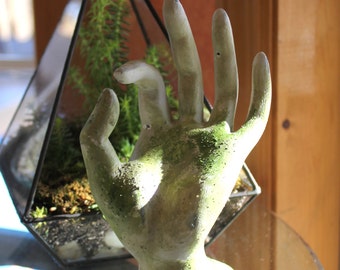 Earthy Jewelry Display prop Ring Holder hand Stand Jewelry Display ring Organizer ring hand stand ring organizer quirky gift gardener's gift