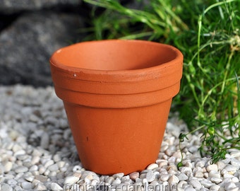 Terra Cotta Pot for Miniature Garden, Fairy Garden
