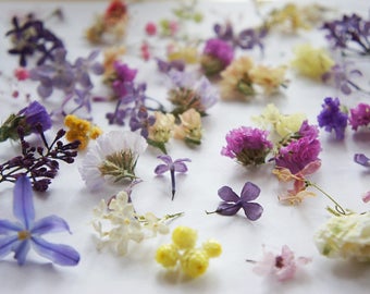 Mini dried flowers | Etsy