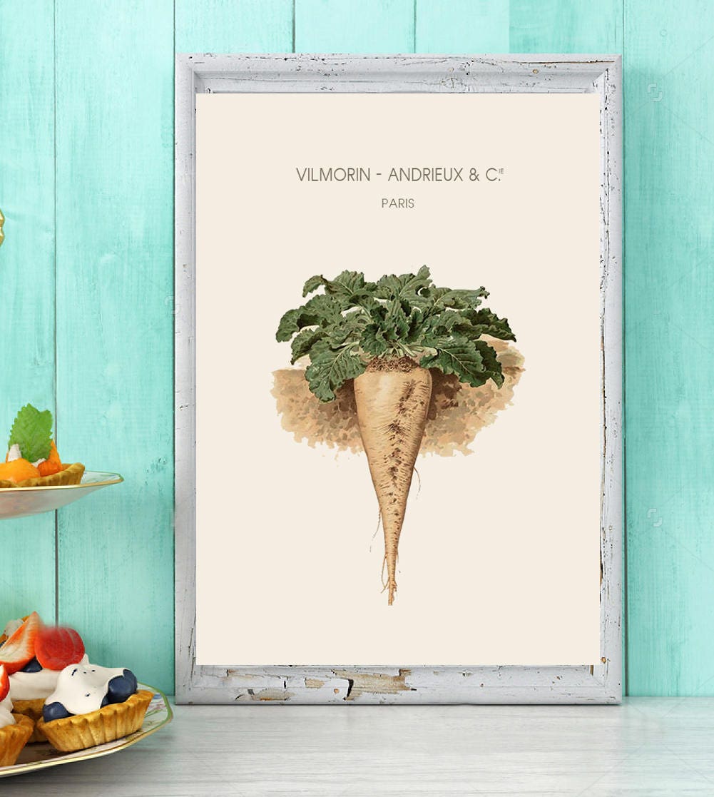 kitchen prints vegetable print botanical prints kitchen wall