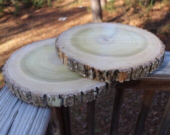 12" TREATED wood slice! 12 inch, wood slices, 12", large wood slices, large wood rounds, hardwood, tree slices, with bark, treated wood slab