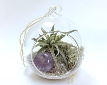 Aquarius February Amethyst Air Plant Garden Kit • terrarium tillandsia birthstone crystal birthday personalize gift diy present decor