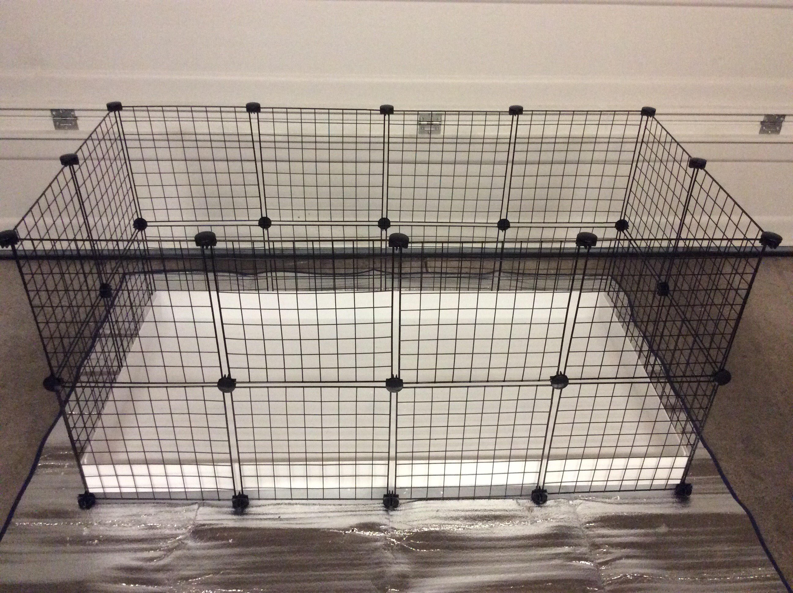 2x4 CC RABBIT Puppy Cage Extra Tall Walls 14 x 14