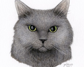 Hand Drawn Pet Portraits