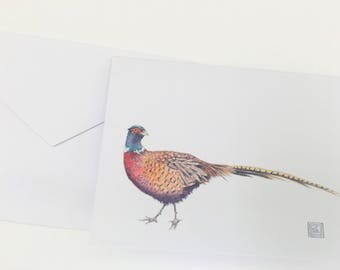 Watercolor pheasant greeting cards, set of 8 cards and envelopes, watercolor greeting cards, printed original artwork,watercolor cards
