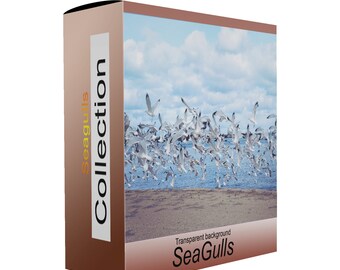 Seagulls photoshop overlays Birds clipart digital cutout image seagull clip art transparent background - 12 separated . png files