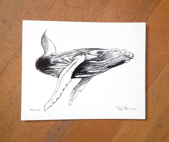 Humpback whale hand screen printed with archival ink on 100% cotton paper
