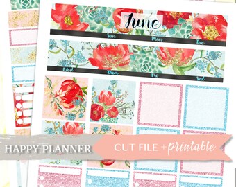 JUNE MONTHLY VIEW, Happy Planner Monthly Kit, Happy Planner Sticker, Happy Planner Kit, Summer Stickers, Digital Printable, Digital Stickers