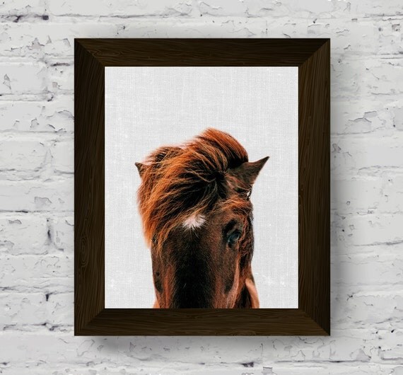 horse photography animal print horse wall art equestrian
