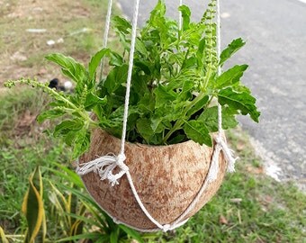 2 Pcs Coconut Shell Hanging Pot Planter And By Handmadebyyucrack