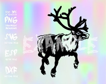Moose Silhouette,clipart,SVG,PNG 300dpi ,ESP vector