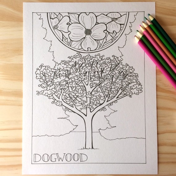 Download Single Coloring Page Dogwood Tree