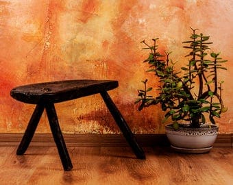 Milking stool, Antique Primitive stool, Rustic stool, Rustic Three Legged stool, Primitive Stool, Farmhouse Antiques, Wisconsin Farm