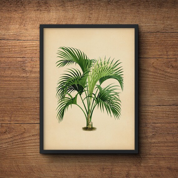 Palm Tree Art  Palm Leaf  Wall  Decor  Palm Leaf  Prints Palm