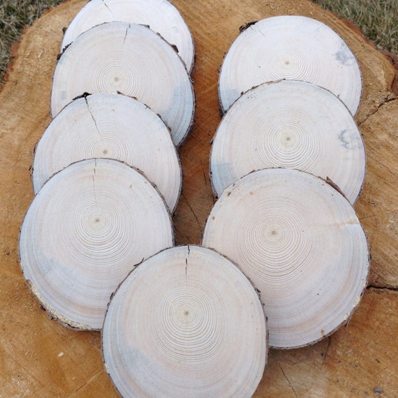 12 Pine Wood Slices 4 to 5 Wide 1/2 Thick