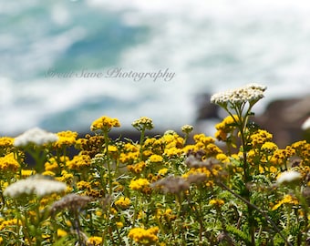 Flowers at the Sea, Photography, Home Decor