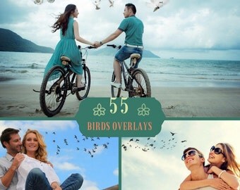 55 Birds Overlays PNG, Doves Photoshop Overlays, Wedding Overlay, Flying Birds photo layer, Flying Birds, Digital backdrop, Pigeons Overlay