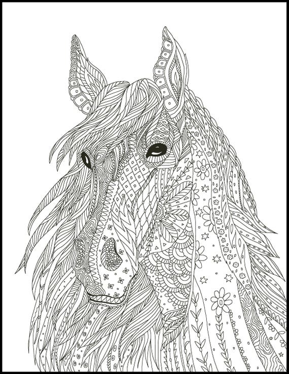 Horse Coloring Page for Adults Horse Adult Coloring Page