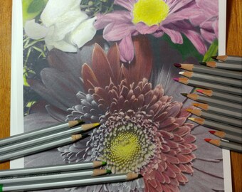 Gerbera Daisy and Snapdragon Greyscale Coloring Page and tutorial