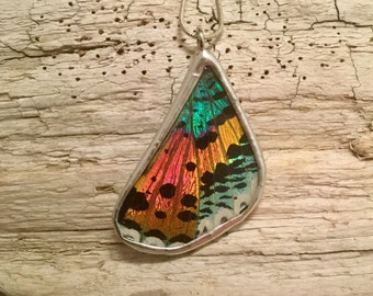 Real moth jewelry, real moth wing Necklace, sunset moth Pendant, butterfly wing, butterfly pendant, real butterfly jewelry
