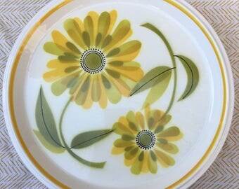 vintage mikasa fresh as spring dinner plate set