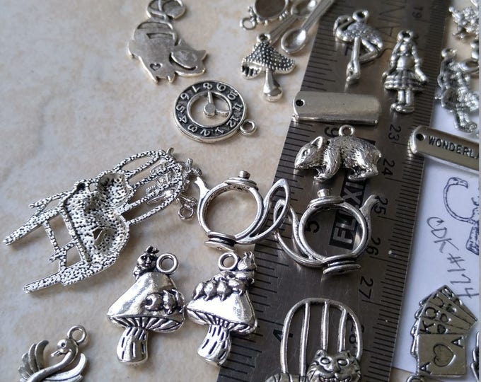 SALE DRINK Me Rare charms Silver Alice in Wonderland Assorted DIY Charms 41 piece Alice Charms pendants Wonderland jewelry Wonderland #174