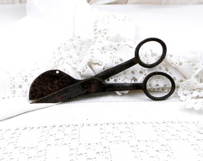 Antique French Iron Candle Wax Scissors, French Decor, Tool, French Country, Brocante, Curiosity, Diy, Retro, Vintage, Interior, Collectible