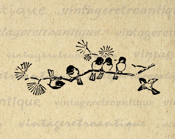 Printable Graphic Birds on Branch Antique Download Image Digital Vintage Clip Art Jpg Png Eps HQ 300dpi No.144