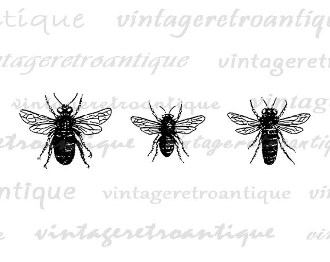 Bees Printable Image Graphic Collage Sheet Download Digital Vintage Clip Art Jpg Png Eps HQ 300dpi No.3275