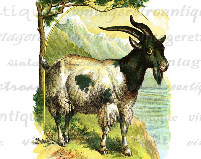 Digital Printable Classic Goat Image Color Illustration Graphic Download HQ 300dpi No.2040