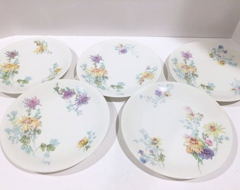 Limoges France Plates, D and C Plates, French Limoges Plates, Flowered Limoges Plates, Antique Limoges Porcelain