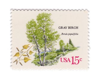 10 Unused Vintage Postage Stamps - 1978 15c American Trees Series - Gray Birch - No. 1767