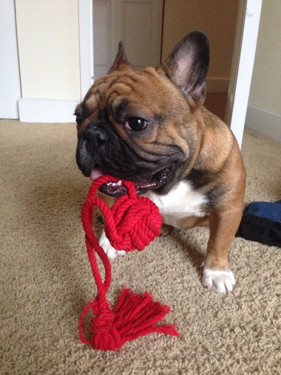 Dog toy rope knot chew toy monkey's fist handmade cotton