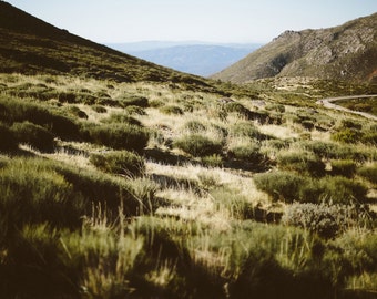 Mountains, green, beige, road, nature, sky, blue, wall decor